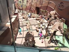 -陕西自然博物馆