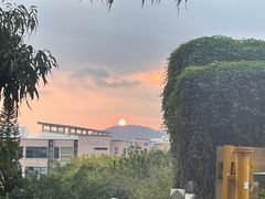 -厦门悦华酒店