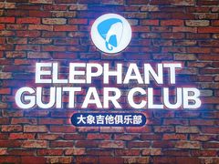 -大象音乐·吉他·架子鼓·声乐(双井店)
