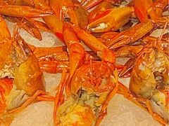 -红盔甲·小龙虾(人民广场店)