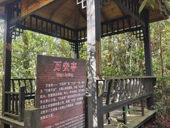 -云南屏边大围山国家公园