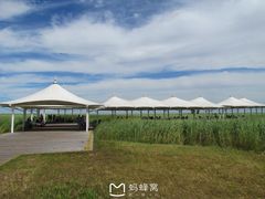 -黑龙江扎龙生态旅游区