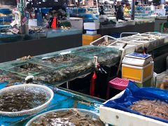 水产区-王四营海鲜市场