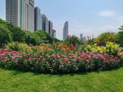 -深圳国际园林花卉博览园