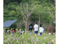 -东莞植物园