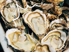 -蚝抵食·湛江生蚝(湾北路店)