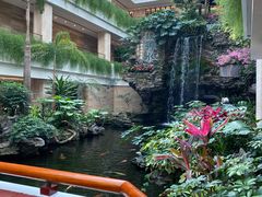 -广州白天鹅宾馆