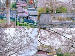 -鸡鸣寺