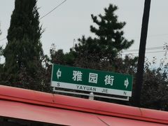-蒲河大集