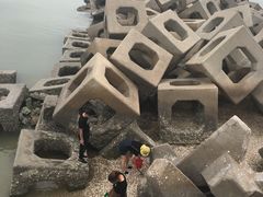-东疆建设开发纪念公园