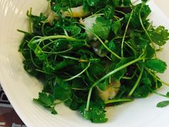 川外川(星海店)-川外川(星海店)