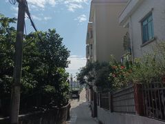 -大湾区中央湿地公园-十九涌