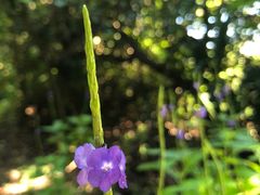 -龙坑生态保护区