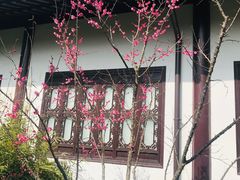 -上海醉白池公园