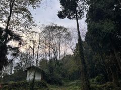 -凤栖山