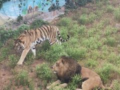 -西霞口神雕山野生动物世界