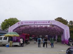 -南汇桃花村