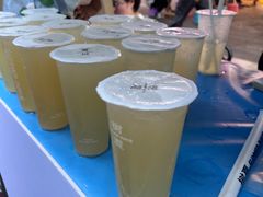 -树夏(建设路店)