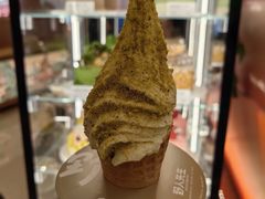 -野人先生现做冰淇淋(北京王府井东方新天地店)