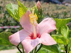 -新地休闲农场