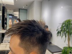-时尚殿堂salon