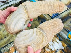-明记海鲜大排档(巽寮湾店)