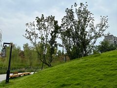 -中国天府农业博览园