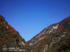 -秦岭风景区