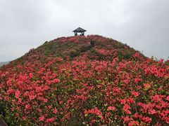 -大围山国家森林公园