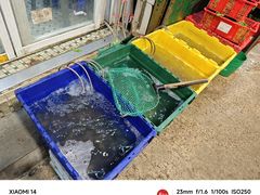 -凤城康记饭店