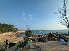 -广东惠东海龟国家级自然保护区