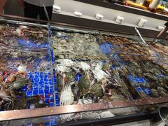 -渔公码头海货全海鲜自助(海滨旅游路店)