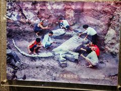 -自贡恐龙博物馆