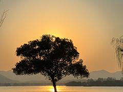 -杭州西湖柳莺里酒店·闻莺厅