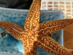 -哼蟹二将·烤肉酱蟹(合生汇店)