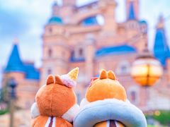 -上海迪士尼度假区