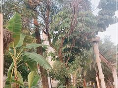 -勐巴拉娜西大剧院