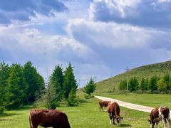 -塞罕坝国家级自然保护区