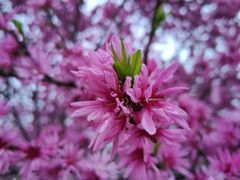 -汉长安城未央宫国家考古遗址公园