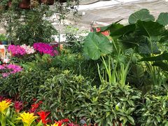 -秦美花卉(天朗·莱茵小城2期店)