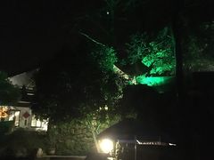 -龙井壹号·茶缘山景宴(龙井村店)