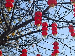 -史努比缤纷世界