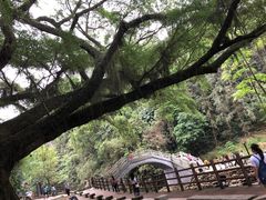 -广州市石门国家森林公园