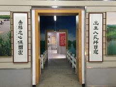 -白洋淀景区