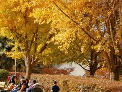 -苏州河梦清园环保主题公园