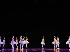 -西安小天鹅艺术团(曲江Alice店)