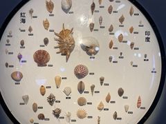 -海合安青岛极地海洋公园