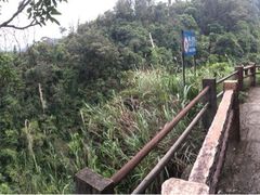 鼎湖山-鼎湖山风景区