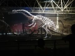 -世界恐龙谷景区