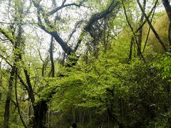 -会稽山峡洞漂流-上青古道